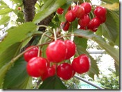 DSCN0063