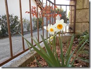 DSCN0148