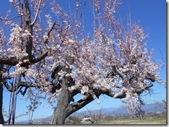 DSCN0165