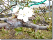 DSCN0184