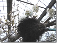 DSCN0190