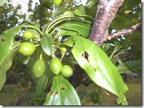 DSCN0205
