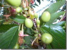 DSCN0209