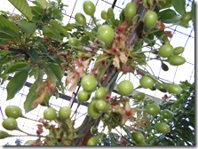 DSCN0210