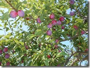 DSCN0280