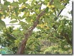DSCN0358